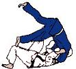 Click to see animation of this throw.